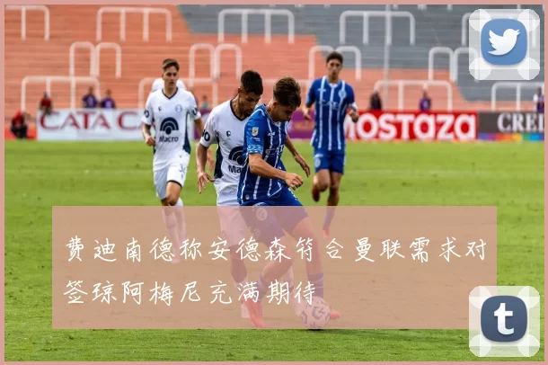 费迪南德称安德森符合曼联需求对签琼阿梅尼充满期待