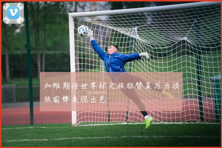 加维期待世界杯之旅称赞莱万为顶级前锋表现出色